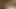 Bu çılgın iri güzel siyah lezbiyenler büyük bir çift dildonun her santimini alıyor