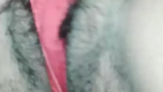 Külotta bir saç kedi oynuyor
