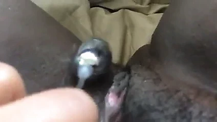 oynama ile benim kıllı KEDİ