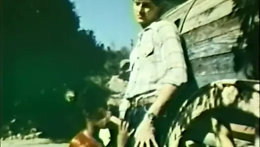 Siyah bir midilliye binmek