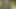 Hucow orta yaşlı seksi kadın memelerini sağıyor kamera 4