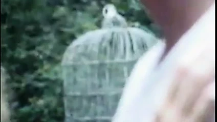 İngiliz bebek tracey williams ile lee henshaw