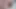 Big beauty fat ass need big beauty fat cock
