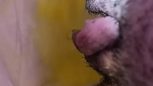 Diaper girl piss play