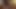Kıllı ayı yavrusu kendi yüzüne boşalma