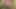 Dijital oyun alanı - Lexi Belle yeni çoraplarını ve sıkı amcığını gösteriyor