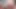 Travesti kamyon şoförünün sikini emiyor