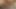Minik yarak buluşmadan önce muzla kendini tatmin ediyor