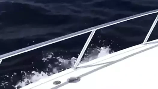 Brezilyalı sıcak babes ile sıcak göt üzerinde the boat