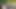 Seksi Zenci Evli Kadın Kendini Beyaz Kocasına Veriyor
