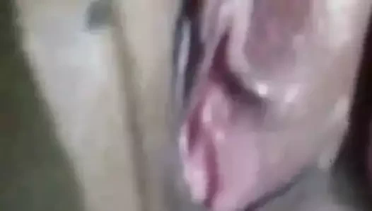 Muslim anne kirli nida ali oynama ile kedi