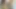 Azgın Hintli arkadaşının siyah yarağına biniyor - İspanyolca porno