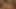 Eros exotica gay: şehvetli tantra ayini: bölüm 4