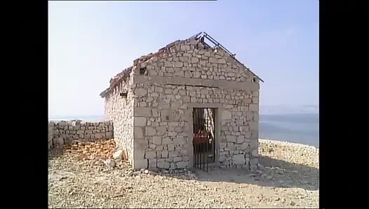 Gece yarısı vahşi karşılaşma (tam film)