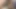 Seksi kız yatakta yatıp boşalmak için büyük bir yarak emiyor