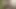Tiny penis cum