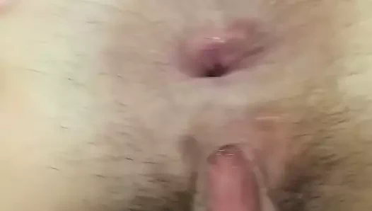 FUNNY GAPING HAIRY PUSSY  ASSHOLE