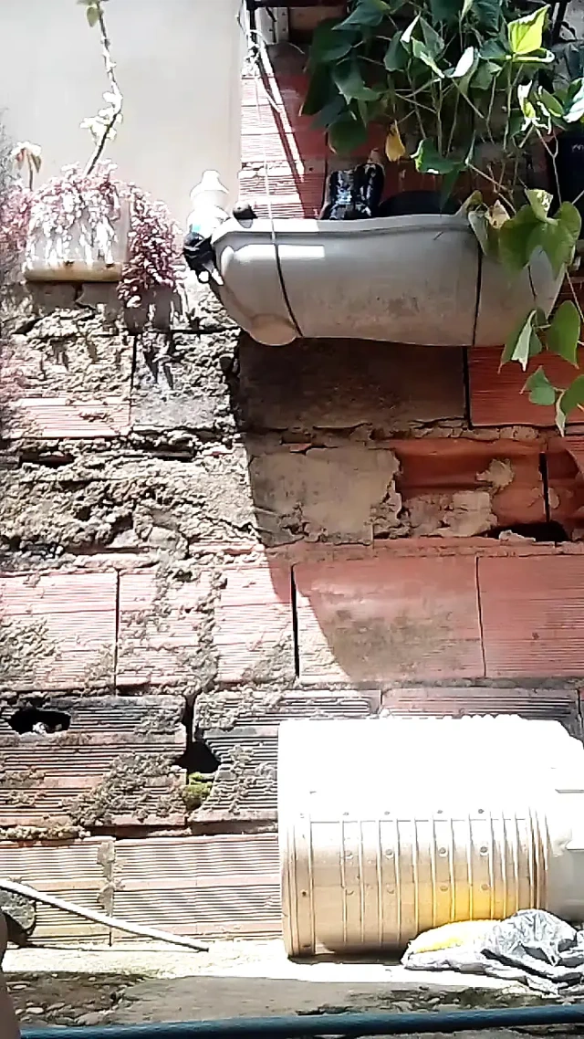 Ev arka planında saman