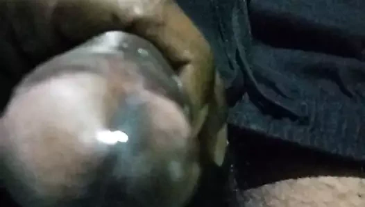 Benim büyük siyah sert horoz