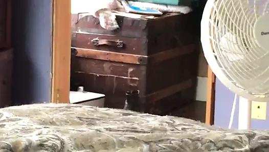 karısı içinde tayt