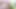 Adriana chechik Assfucked için oyuncak ve şaşkın pov
