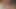 Dört ayı birbirlerinin emerek eğleniyor