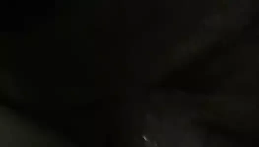 Seksi bir kedisi var