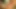 İki Avrupalı yıldızı lezbiyen
