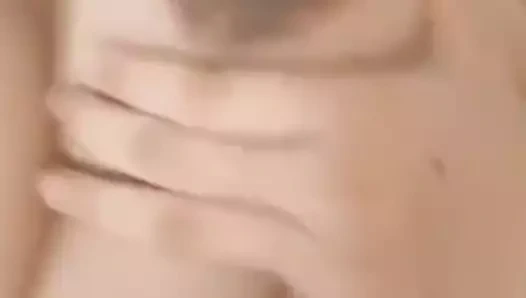 Büyük memeli Malay