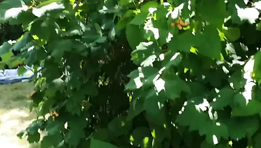 Yerel parkımızdaki yerliler