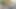 Amateur Outdoor Sex with StepSis (4K 60fps)