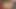 Yalnız Asyalı hatun lina lee 4k bir vibratör kullanıyor