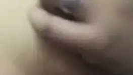 PD003