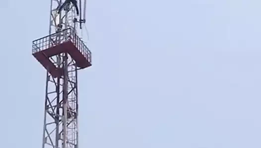 Jackline lauts seks videosu