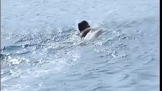 Ein Sommer im Zeichen von Pussy - Episode 5