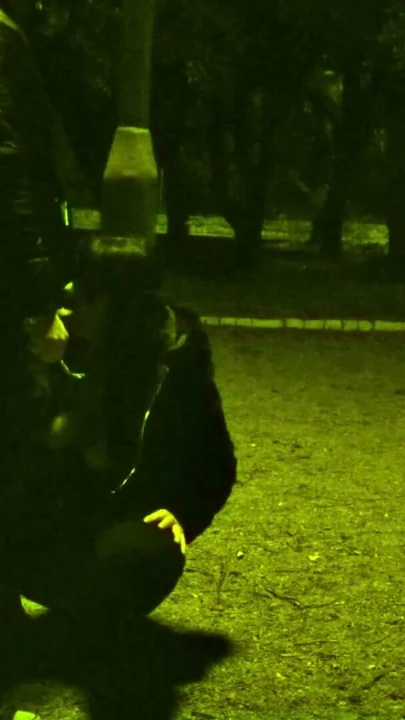 Trafik yanımızdan geçerken köpek gibi tasmalı ben ve herkes bize koşabilir... Paha biçilmez. | Klip 1