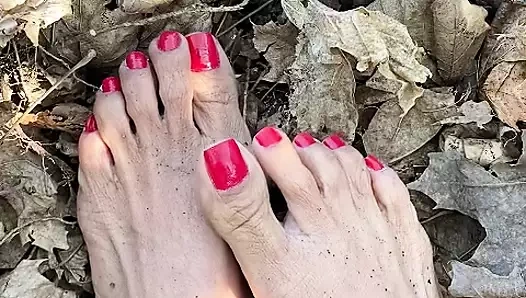 Melove yapraklarda kırmızı ayak tırnaklı seksi küçük ayaklar