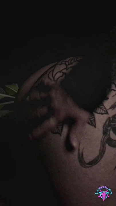 KOMODO - PROFILIMIZDE TAM KLIBI IZLEYIN