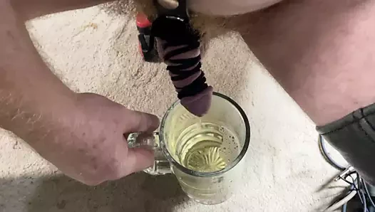 Deri bağlı horoz pissing içinde bir bira kupa