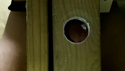 lanet bu yatak direği