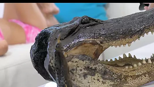 Blake Eden solo oynadığı en iyi arkadaşlar