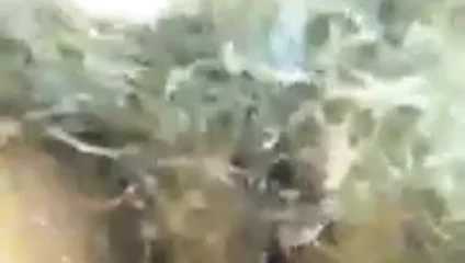 kendini tekrar parmak