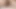 Vietnamlı koca karısının kedi creampies.