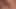 xhamster.com