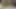 Karısını mı yoksa kız kardeşini mi sikeyim? neden ikisi de değil!