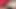 Virgin Stepsister Pussy Breaks Up And Filled With Tamil Indian Cum x Video