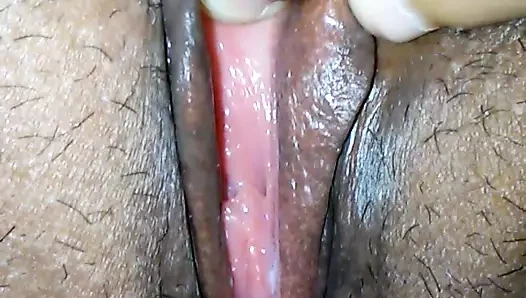 Delisosa
