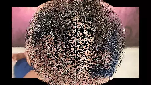 Prenses Nicole fındıklarını yok ediyor