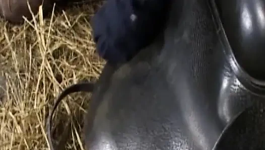 Olgun Sürtükler Vahşi Sert Sikiş Festivali