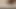 Seksi birkenstok pornosu 10